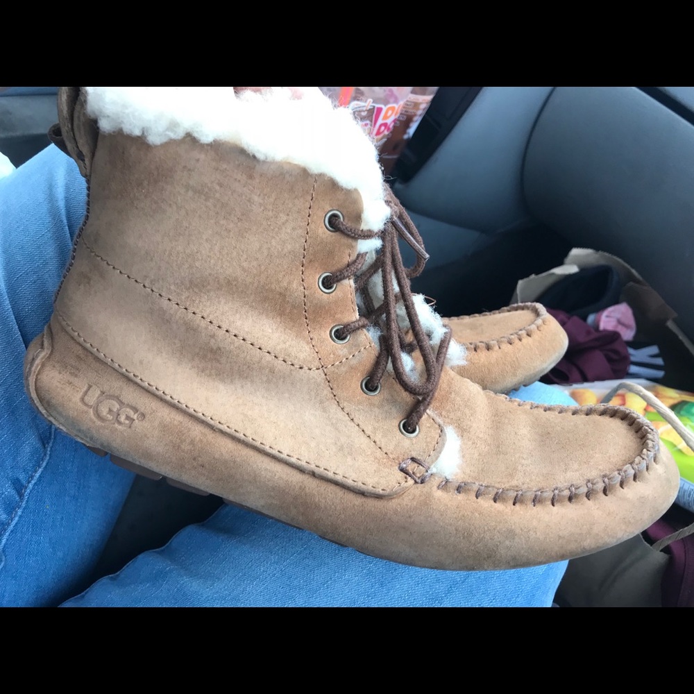 Chickaree uggs